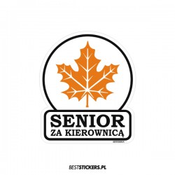 Senior za Kierownicą