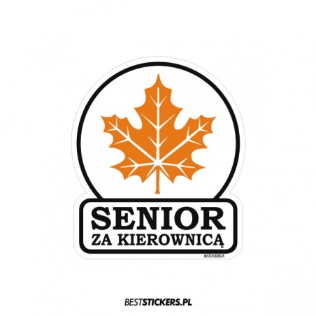 Senior za Kierownicą