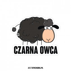 Czarna Owca