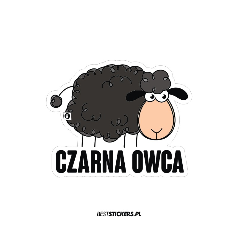 Czarna Owca