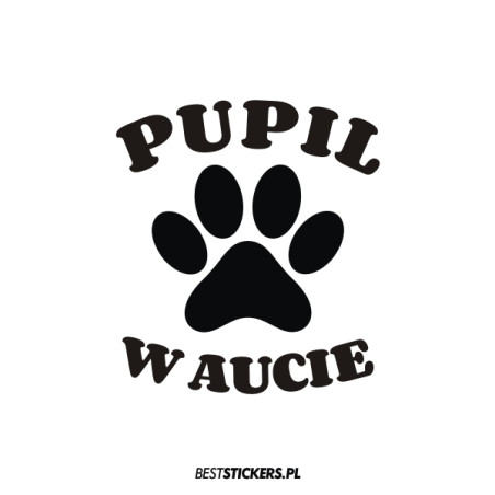 Pupil w Aucie