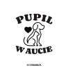 Pupil w Aucie