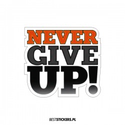 Never Give Up