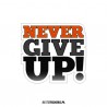 Never Give Up