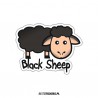 Black Sheep